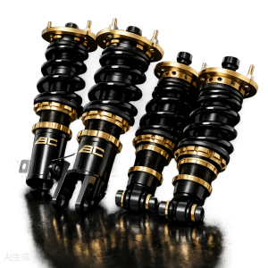 BC Racing Coilovers BR Series